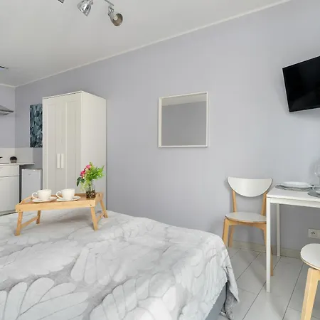 Stylowe I Eleganckie Studia Very Berry W Poznaniu By Renters *