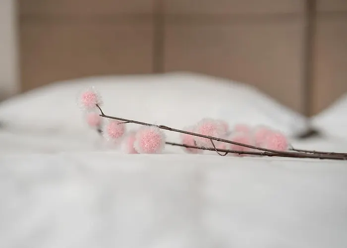 Stylowe I Eleganckie Studia Very Berry W Poznaniu By Renters *