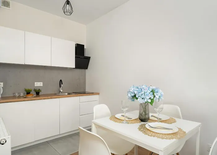 Appartement Stylowe I Eleganckie Studia Very Berry W Poznaniu By Renters