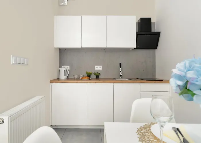 Apartment Stylowe I Eleganckie Studia Very Berry W Poznaniu By Renters