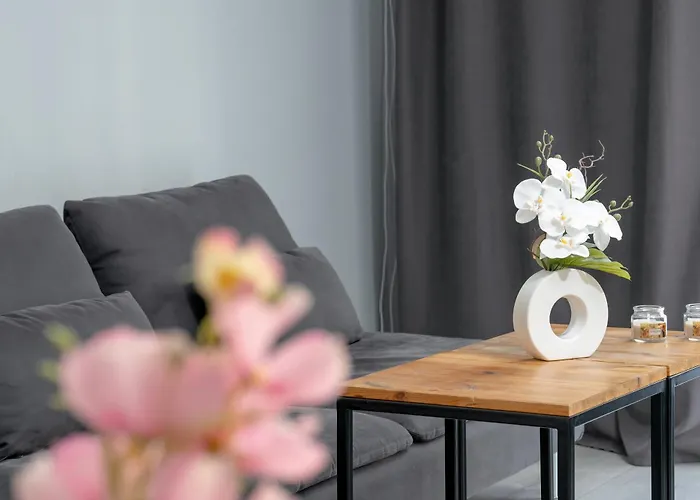 Stylowe I Eleganckie Studia Very Berry W Poznaniu By Renters Appartement Poznań